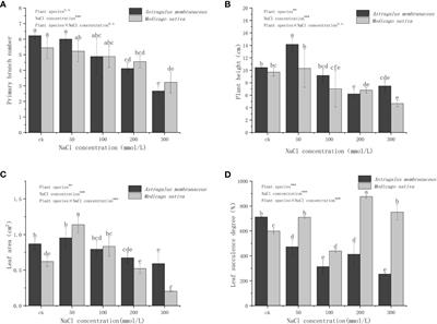 An insight into the different responses to salt stress in growth characteristics of two legume species during seedling growth